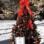 John Izzo - @john.izzo.52 - Instagram