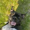 John Izzo - @john.izzo - TikTok