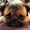johnjackowski51 - @johnjackowski51 - TikTok
