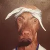john jacobson - @johnjacobson2636 - TikTok