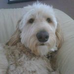John Jagielski - @john.jagielski.9 - Instagram
