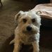 John Jaimes - Facebook