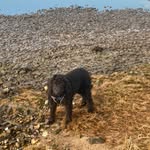 John Jakobsen - @johnjakobsen12a - Instagram