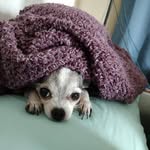 John Janick - @john.j.247 - Instagram