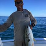 John  Janis - @johnjbeach - Instagram