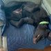 John Janosko - Facebook