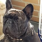 John Jansen - @john.jansen.18847876 - Instagram