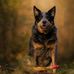 John Jansen - Facebook