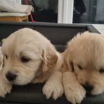 John Janusz - @johnrun79_accounting - Instagram