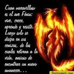 Juan Perez Hernandez - @john_javier_ - Instagram