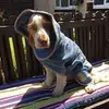John Jelley - @john.jelley - TikTok