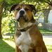 John Jergens - Facebook