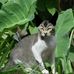 John Jerome - Facebook