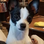 John Jerrell - @johnjerrell - Instagram