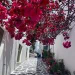 jessie + john | our trip - @jessieandjohn_travel - Instagram