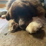John Jessie - @jjessi69 - Instagram