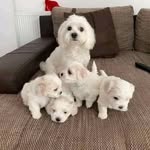 John Job - @johnjob847 - Instagram