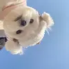 Joern John - @joernbh - TikTok