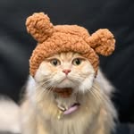 魚子醬🐟 - @johnjohniscat - Instagram
