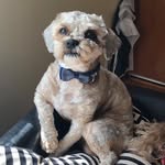 Welcome to My world - @john_johnishere - Instagram
