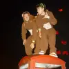 John Johnston - @johnjohnston - TikTok