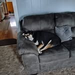 John Johnston - @johnjohnston265 - Instagram