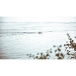 John Jolin - @pulluntek - Instagram