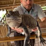 John Jones - @otterjohn2.0 - Instagram