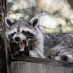 John Junkermeier - @johnjunkermeier - Instagram