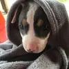 johnkaczor827 - @johnkaczor827 - TikTok
