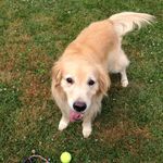 John Kahle - @johnkahle1967 - Instagram