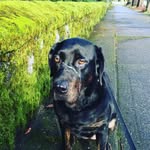 John Kaiser - @lucy_prime - Instagram