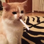 John Kalashnikov - @johnkalashnikov - Instagram