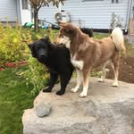 John-Erik Källman - @johnerikkallman - Instagram
