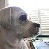 Kaloudis - @kaloudis - TikTok