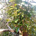 John Kamencu - @johnkamencu - Instagram