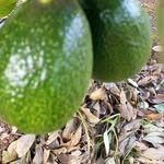 John kamenya njucha - @johnkamenyanjucha - Instagram