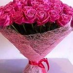 John Kanady - @john.kanady.963 - Instagram
