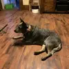 John Kane - @johnkane37 - TikTok