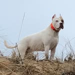 John Karafa - @karafa.john - Instagram