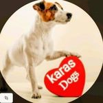John Karas - @superdogstraining.gr - Instagram