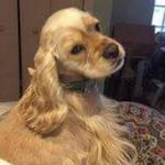 John Karas - @maggiepie14 - Instagram