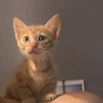 John Karas - @ms_meli_cat - Instagram