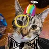 John karas - @captainjohn0720 - TikTok