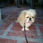 John Sady Karay - @johnkaray - Instagram