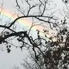 John - @john.karch - TikTok