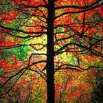 John M. Karian - @johnmkarian - Instagram
