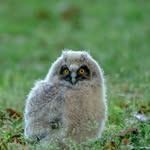 John Karle - @karle3999 - Instagram