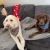 Karlena_J - @karlenajohn - TikTok
