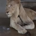 John Karns - @crewdog93 - Instagram